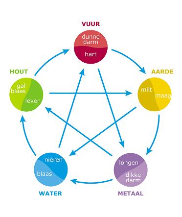 De vijf transformaties - enkel nog als PDF